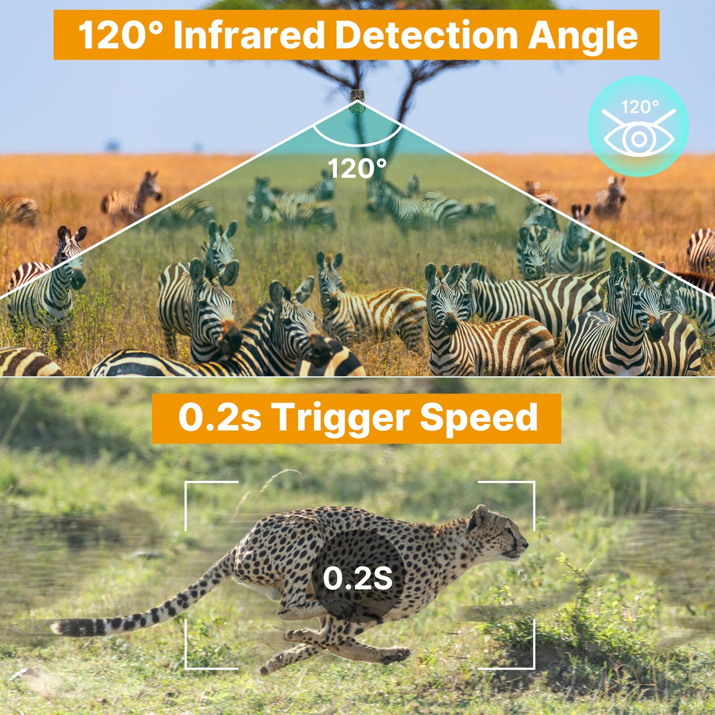 Camera de Chasse Wifi