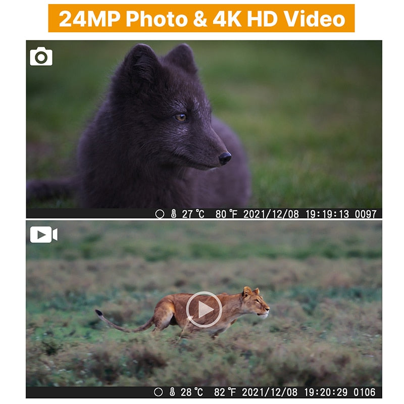 Camera de Chasse Wifi