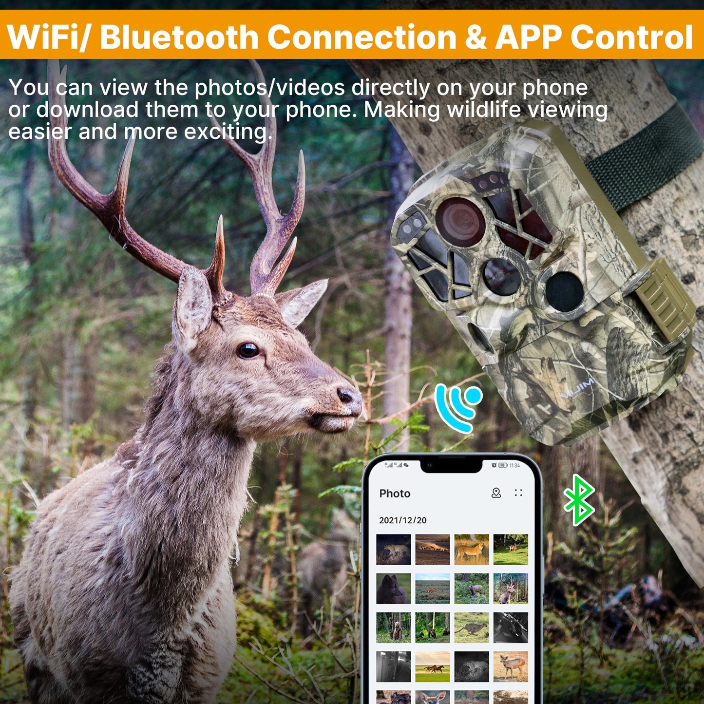 Camera de Chasse Wifi