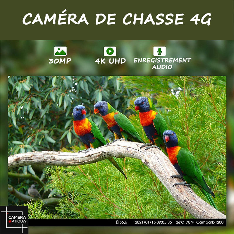 Caméra de Chasse 4G 36MP 4K Vidéo, lithium 10000mAh, Camera de Chasse  Vision Nocturne avec App Gratuite Carte SIM, Vidéo en Temps Réel, Détecteur  de