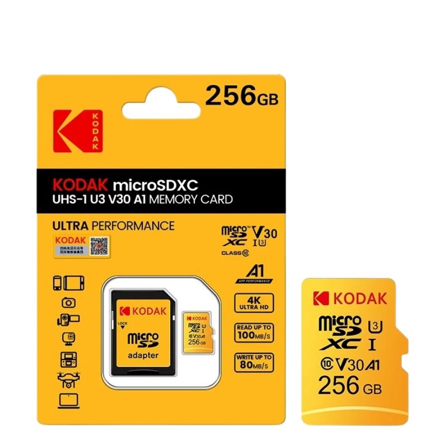 Carte SD