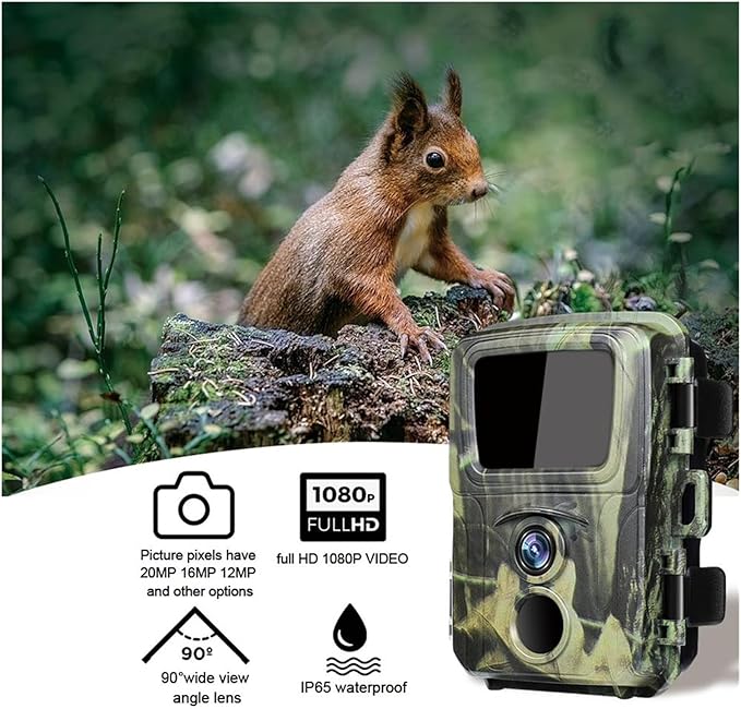 Mini Caméra de Chasse | Surveillance Faune & Sécurité Maison 20MP 1080P