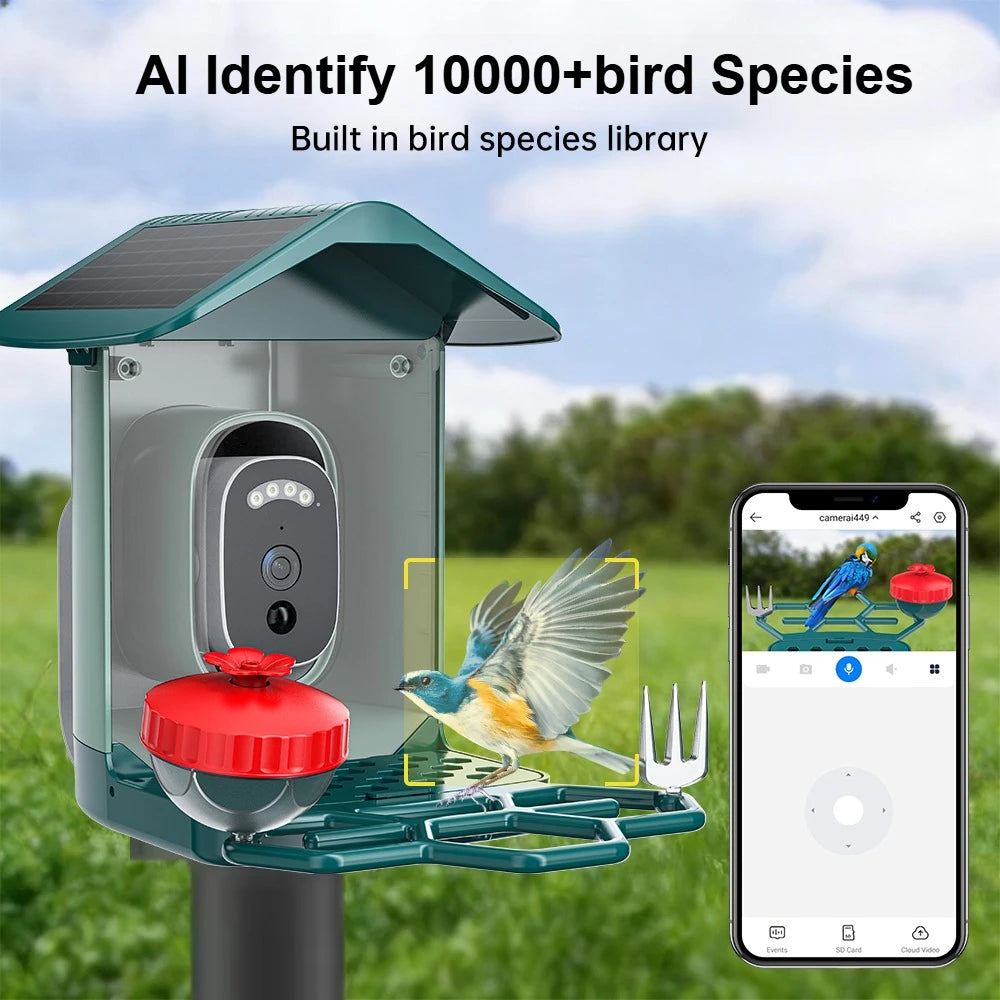 Mangeoire Connectée à Caméra Solaire | Reconnaissance des Oiseaux