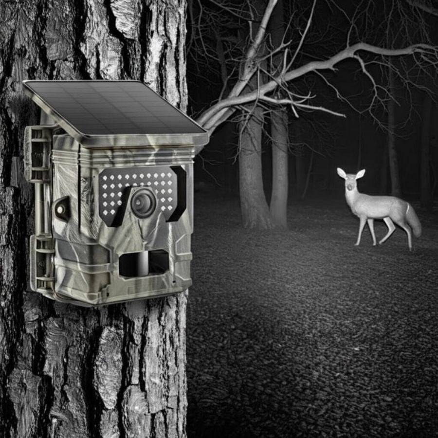 Caméra de Chasse Solaire | Surveillance Autonome & Vision Nocturne 4K