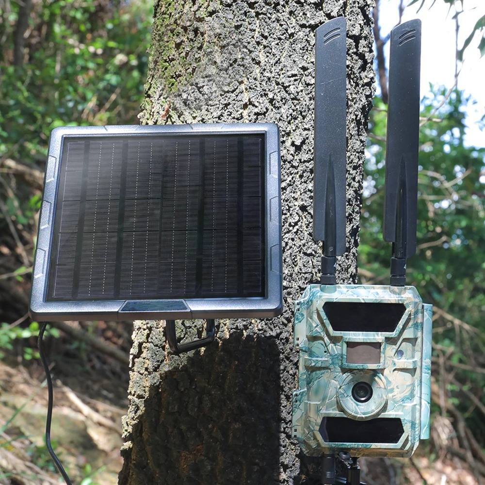 Panneau Solaire pour Caméra de Chasse