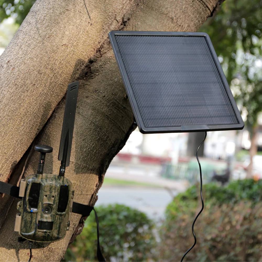 Panneau Solaire pour Caméra de Chasse